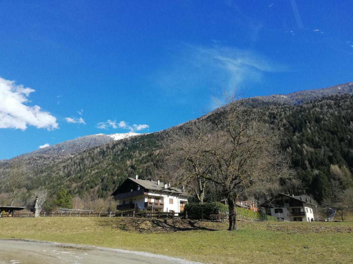 Attico Abbraccio Di Luce Lejlighed Spiazzo  Eksteriør billede